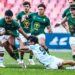 Junior Springboks