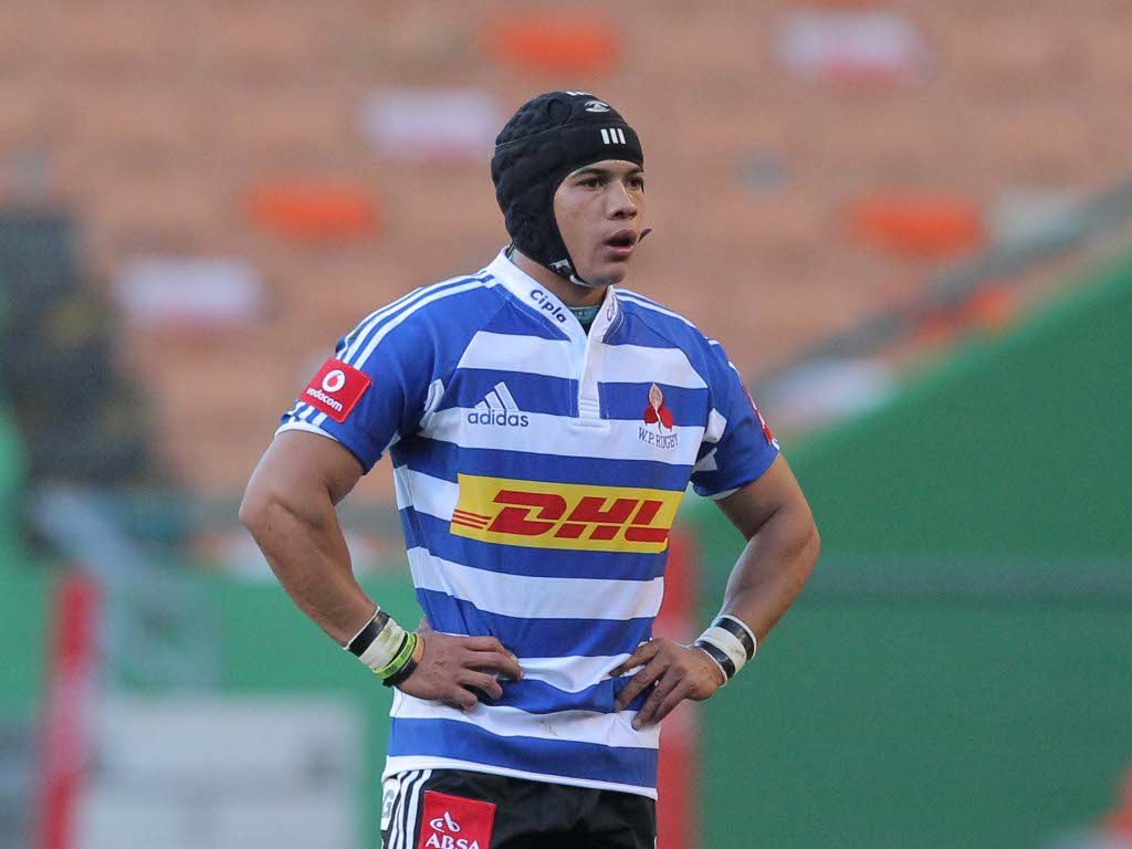 Cheslin Kolbe