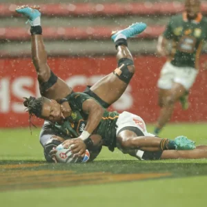 Dewald Human