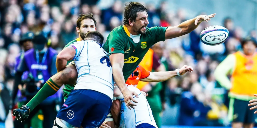 Springboks
