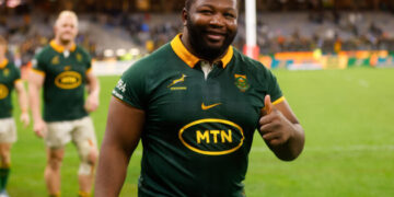 Ox Nché