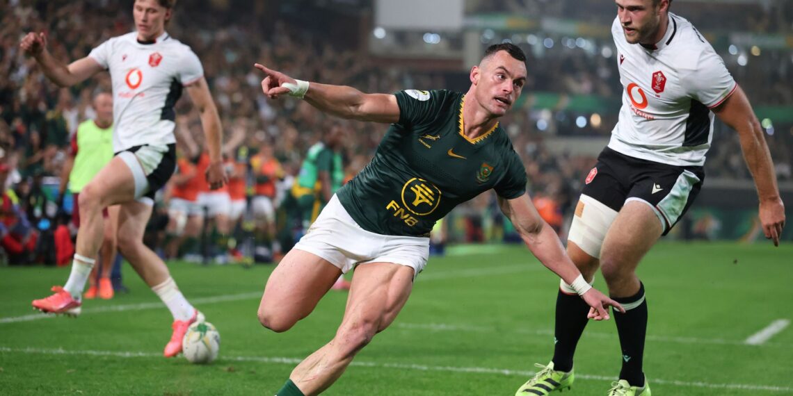 Springboks defeat Wales