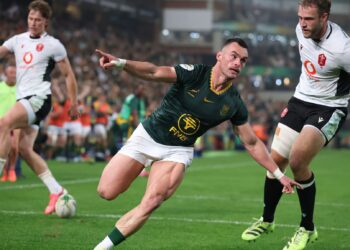 Springboks defeat Wales