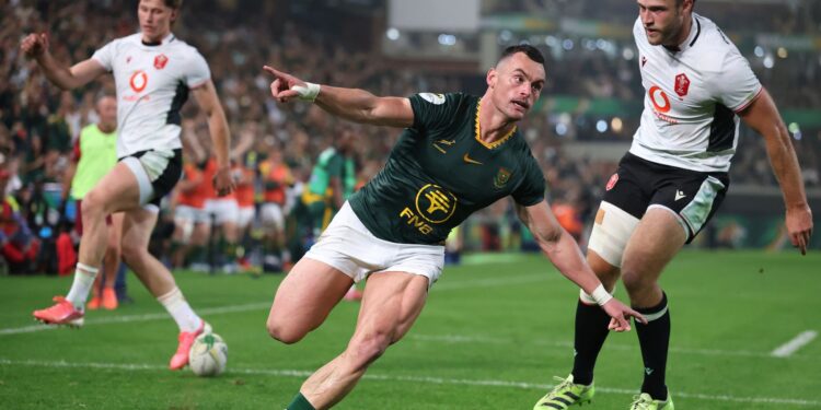 Springboks defeat Wales