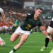Springboks defeat Wales