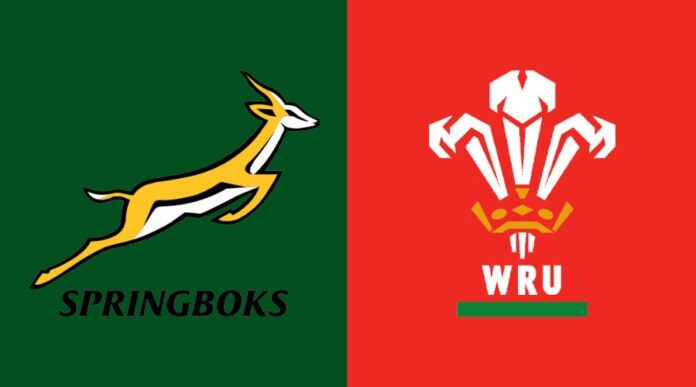 Springboks defeat Wales