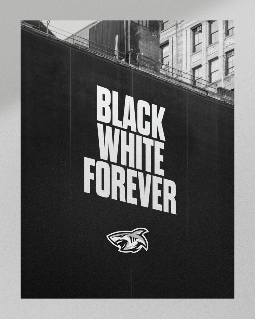 The Sharks Rebrand