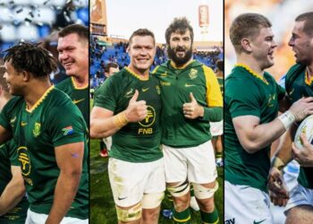 Springboks vs Argentina