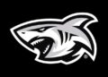The Sharks Rebrand
