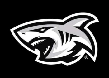 The Sharks Rebrand