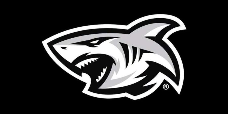 The Sharks Rebrand