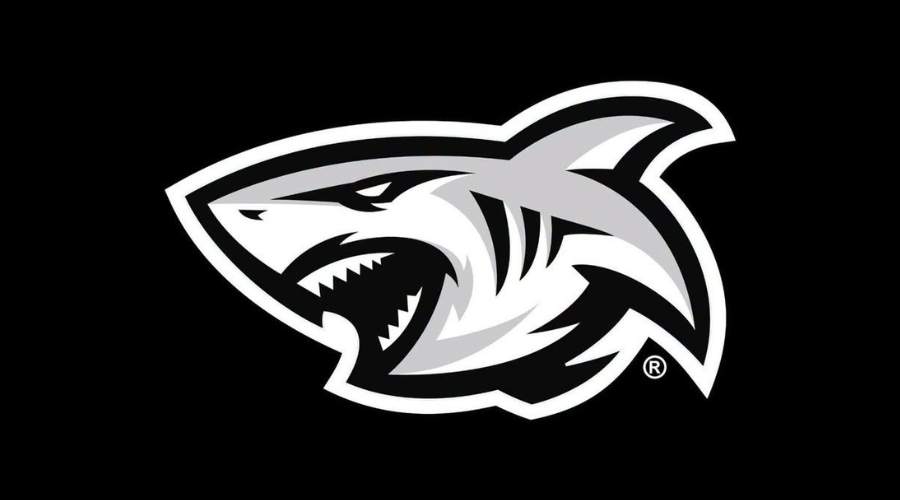 The Sharks Rebrand