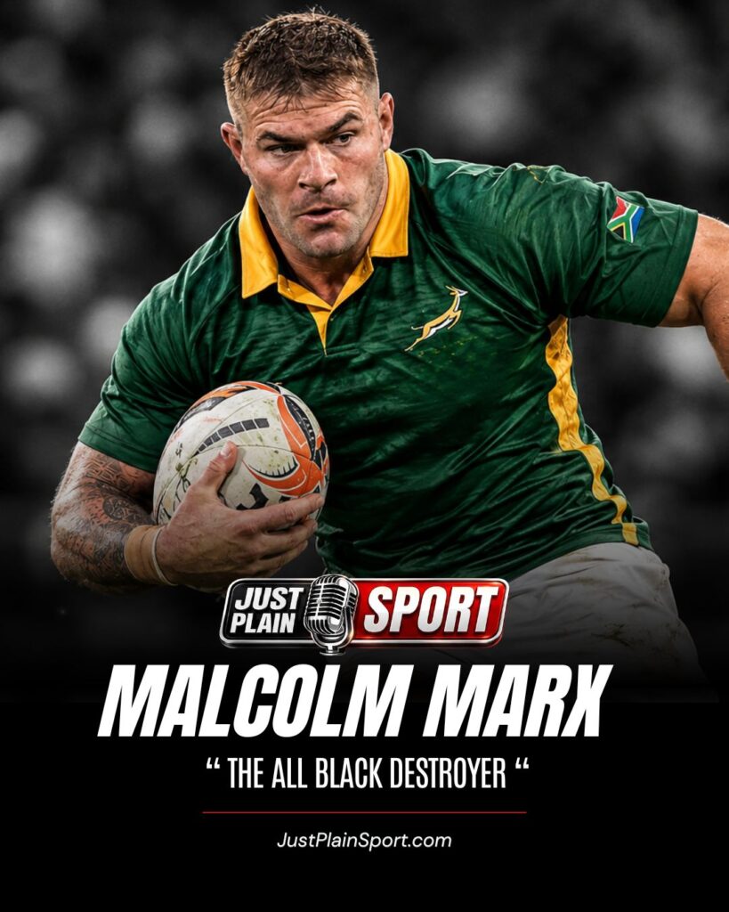 Malcolm Marx - Springboks vs All Blacks
